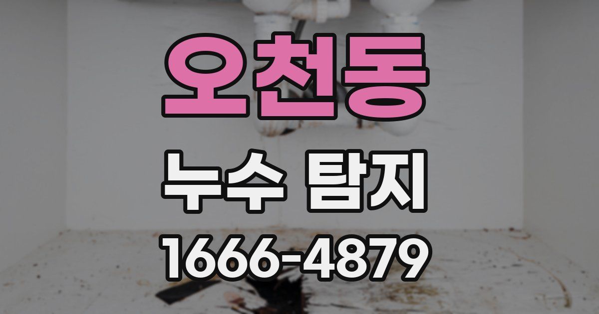 오천동 누수 탐지