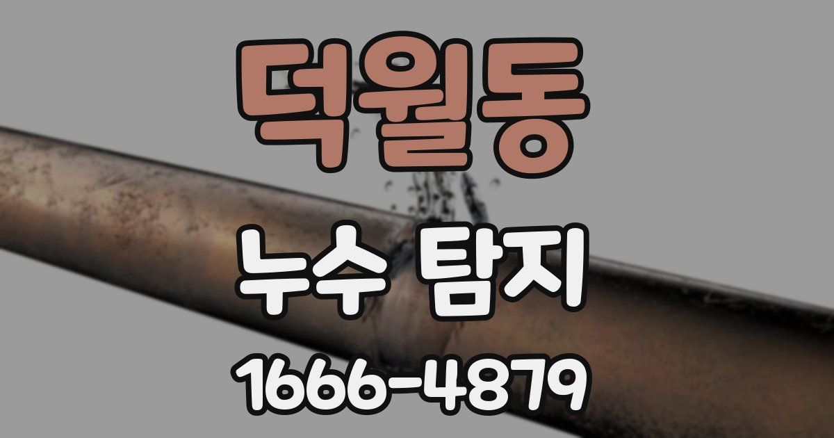 덕월동 누수 탐지