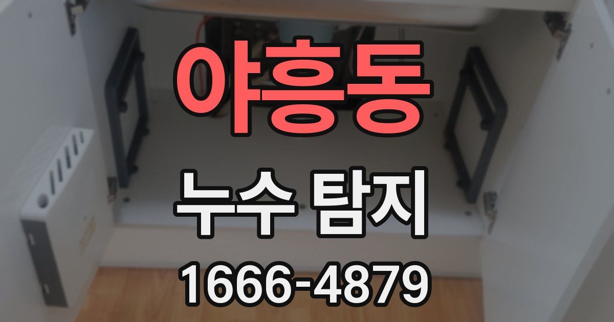 야흥동 누수 탐지