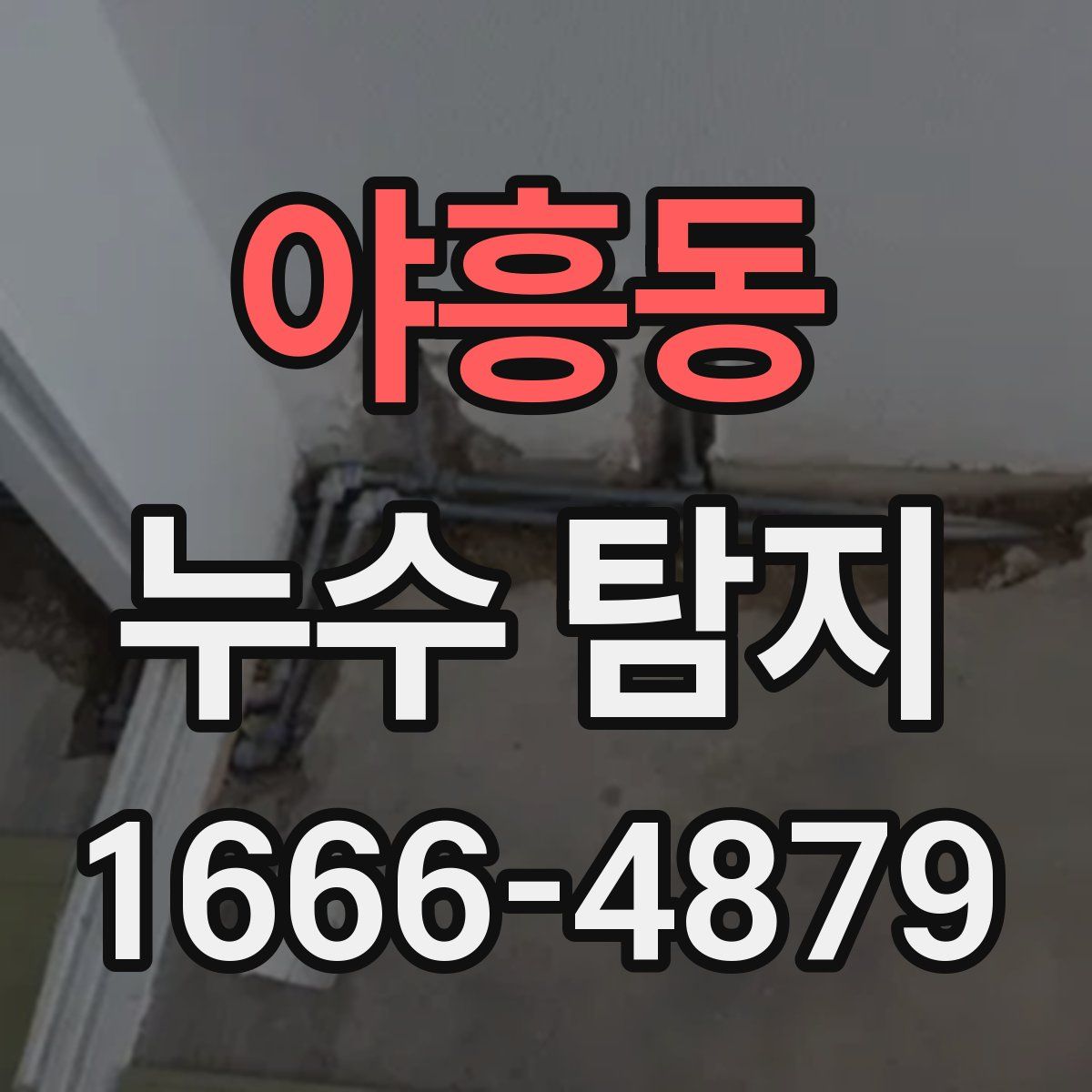 야흥동 누수 탐지