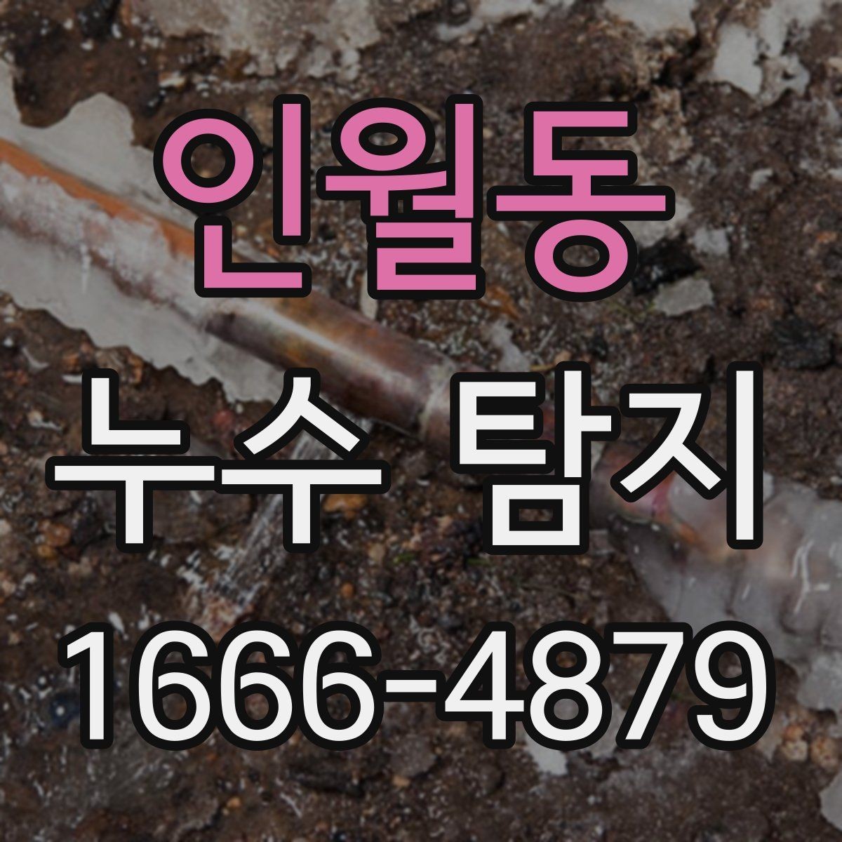 인월동 누수 탐지 사례로 보는 주방과 욕실 문제