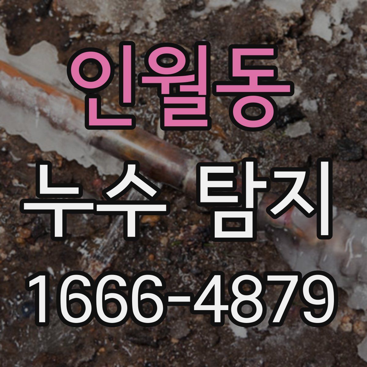 인월동 누수 탐지