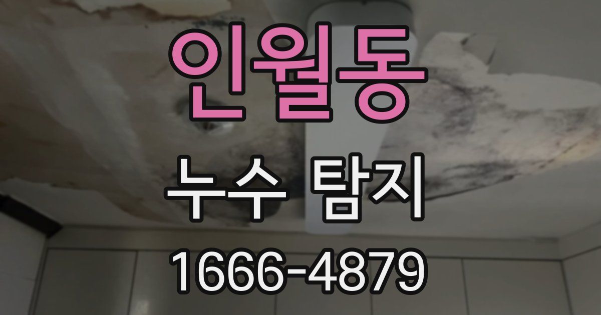인월동 누수 탐지