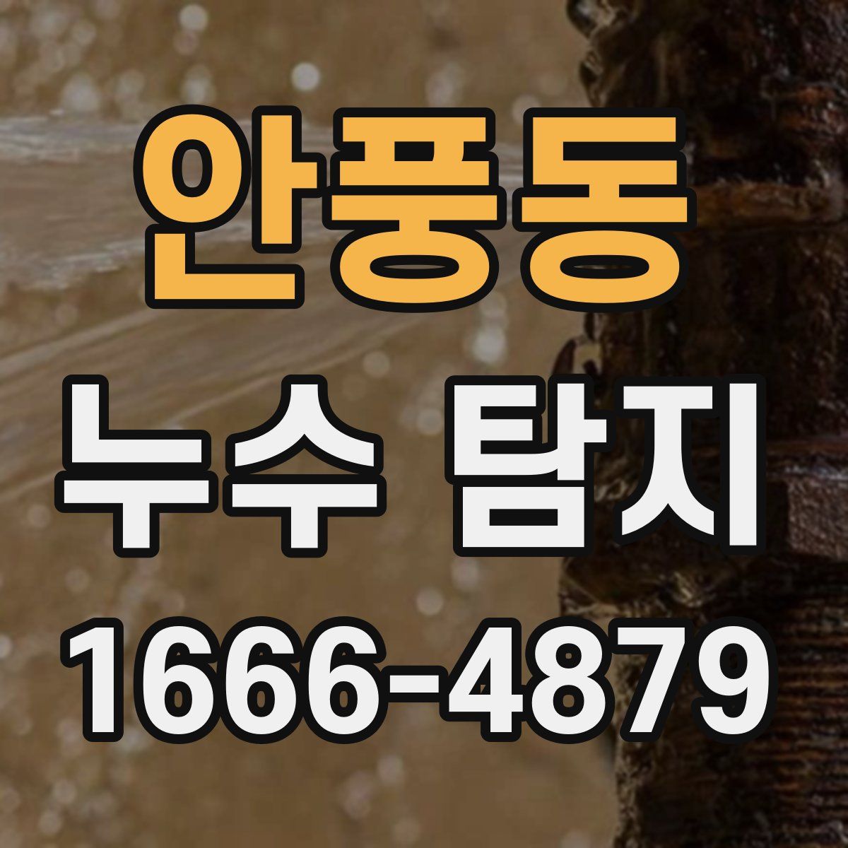 안풍동 누수 탐지