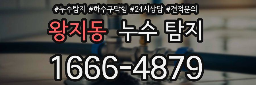 왕지동 누수 탐지