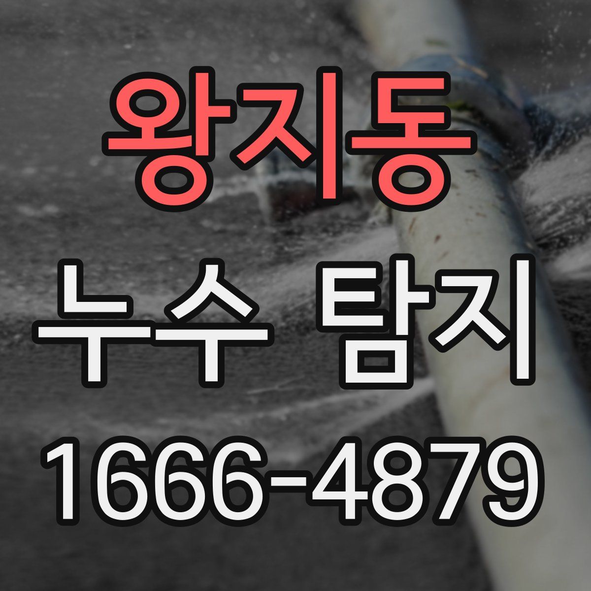 왕지동 누수 탐지