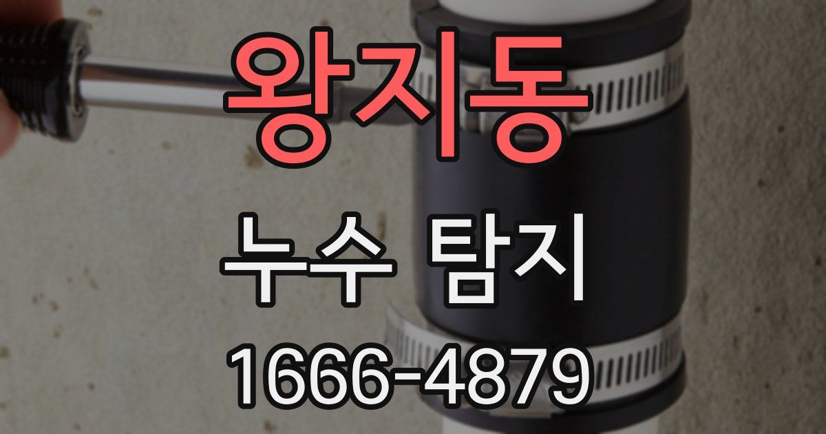 왕지동 누수 탐지