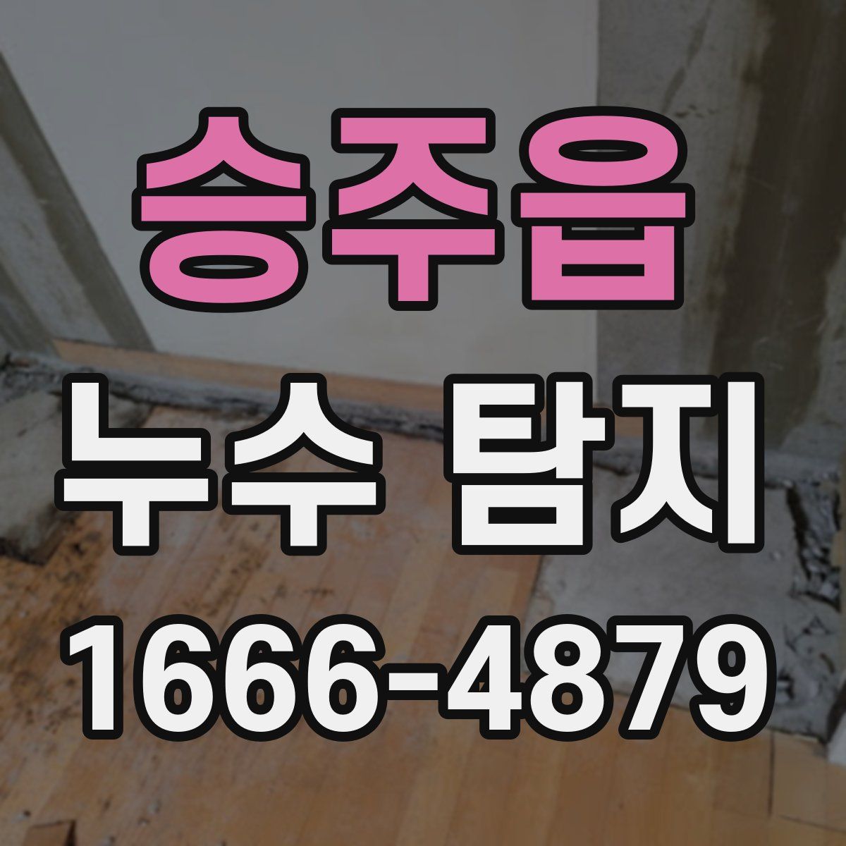 승주읍 누수 탐지