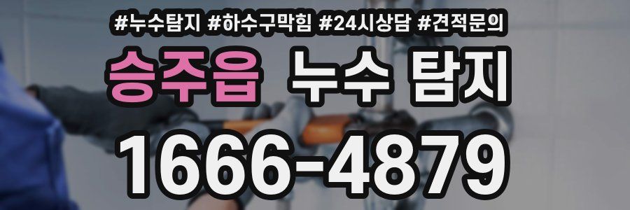 승주읍 누수 탐지