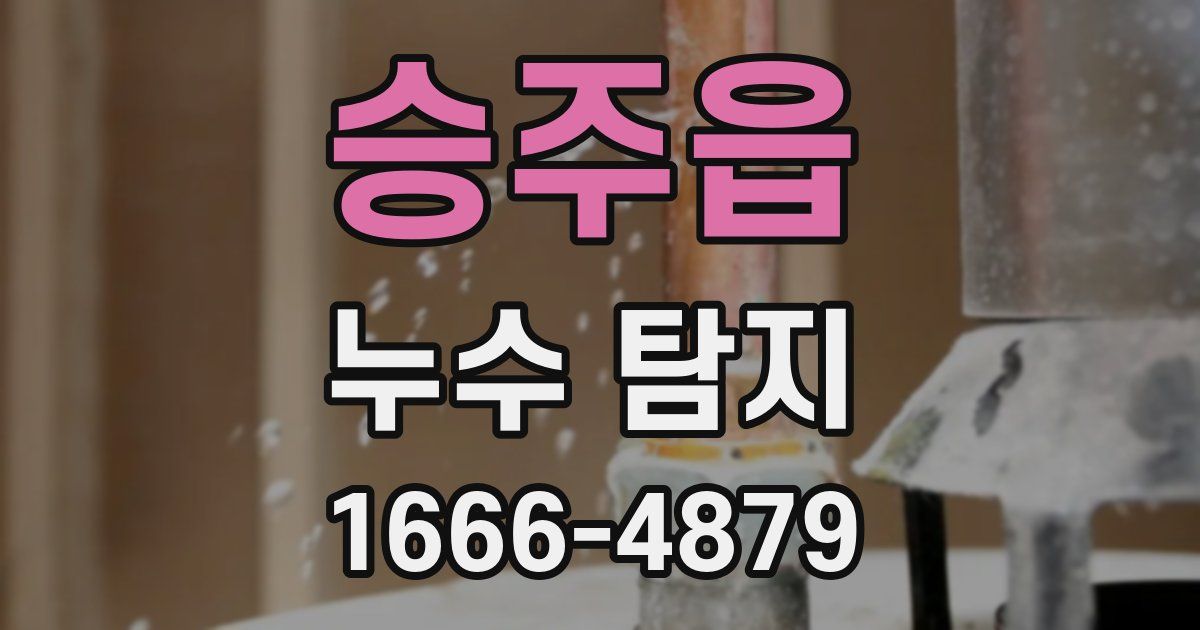 승주읍 누수 탐지