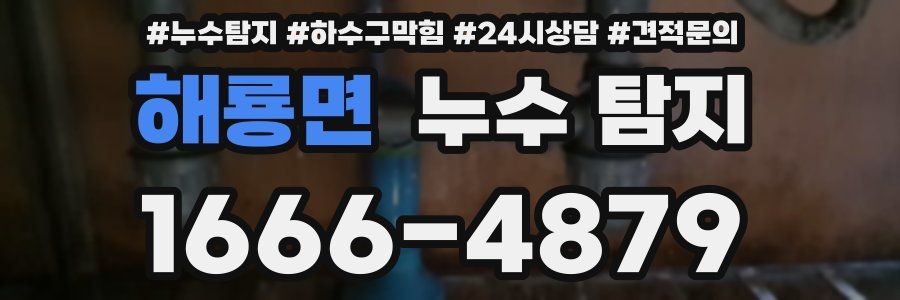 해룡면 누수 탐지