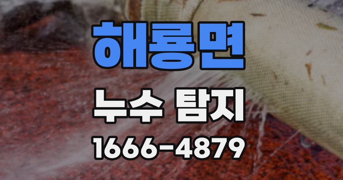 해룡면 누수 탐지