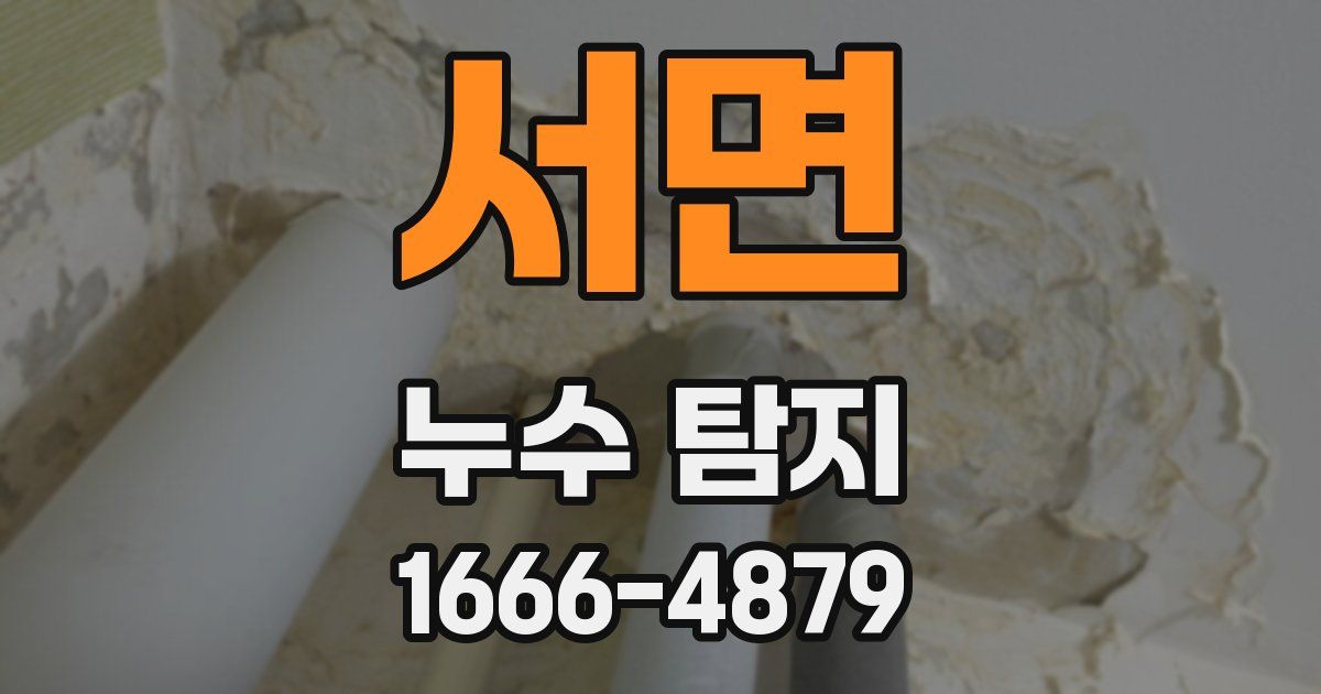 서면 누수 탐지