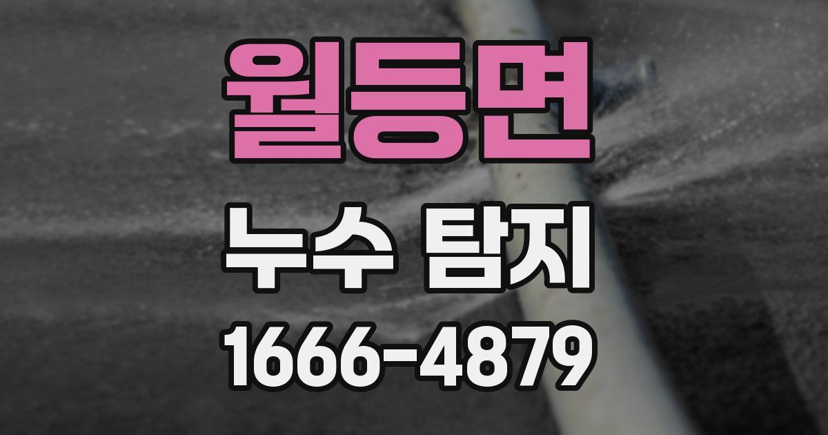 월등면 누수 탐지