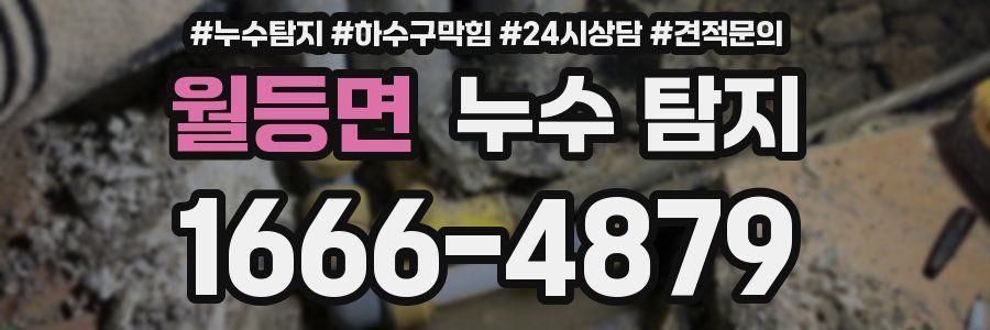 월등면 누수 탐지