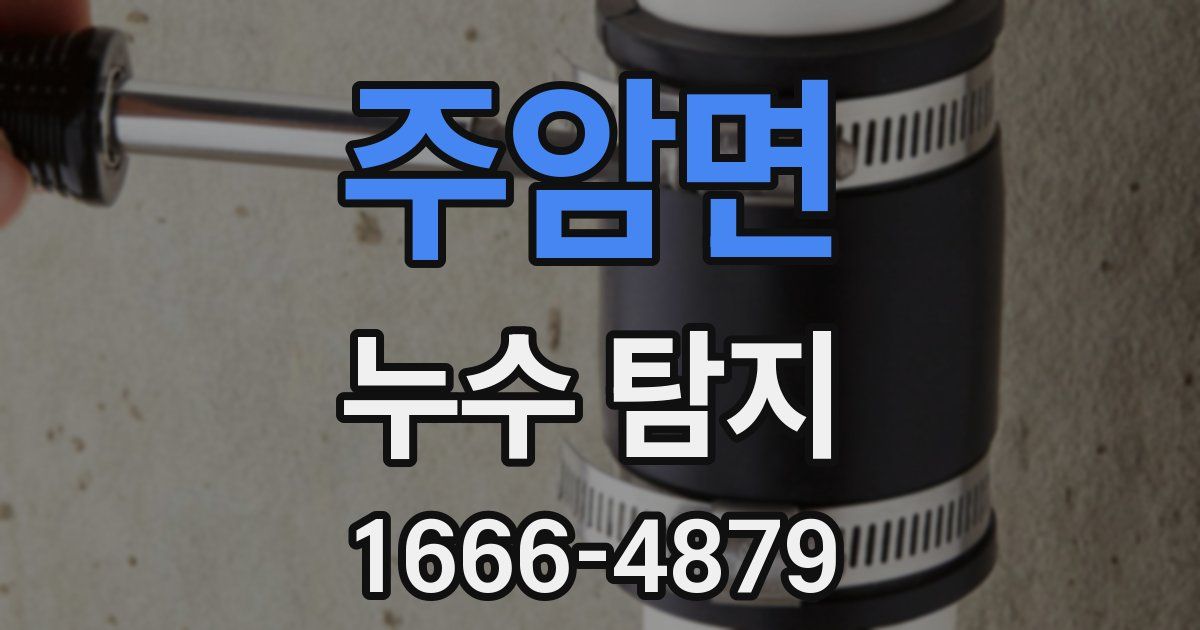 주암면 누수 탐지