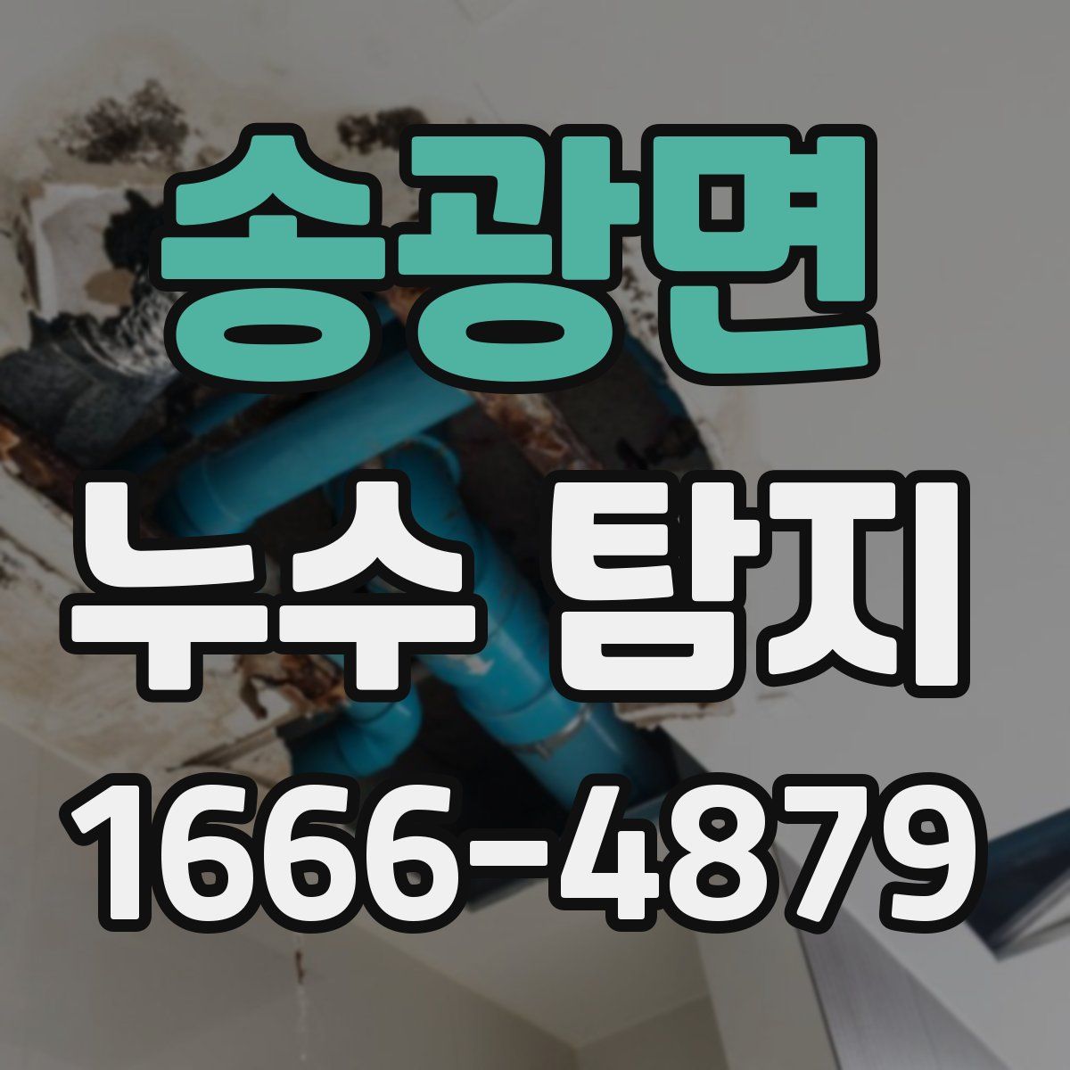 송광면 누수 탐지