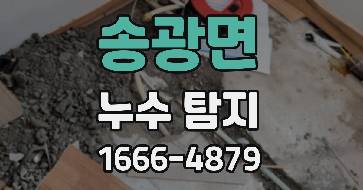 송광면 누수 탐지