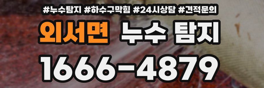 외서면 누수 탐지