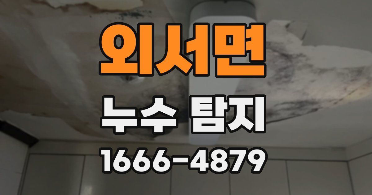 외서면 누수 탐지