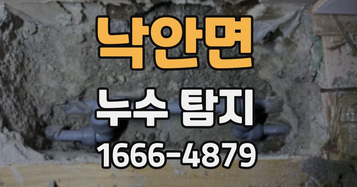 낙안면 누수 탐지