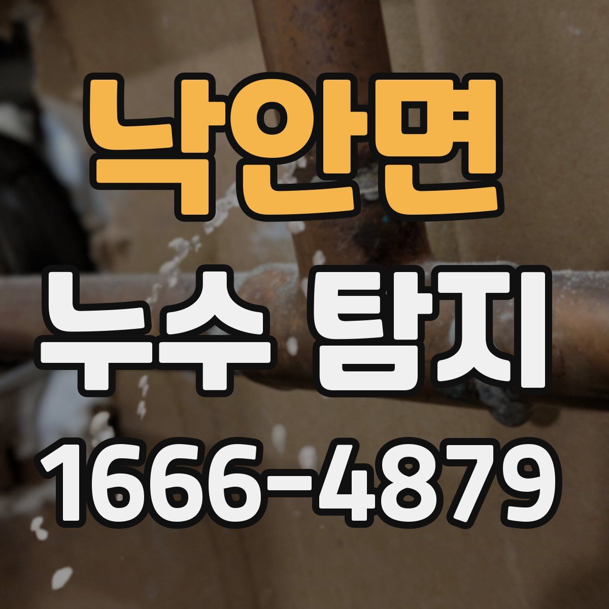 낙안면 누수 탐지