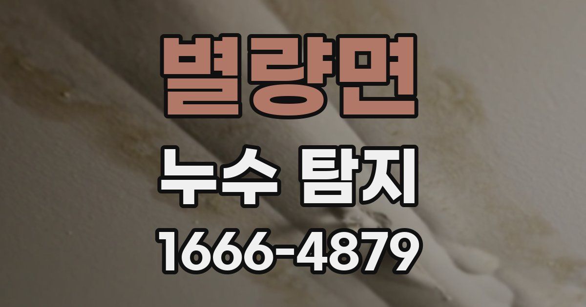 별량면 누수 탐지