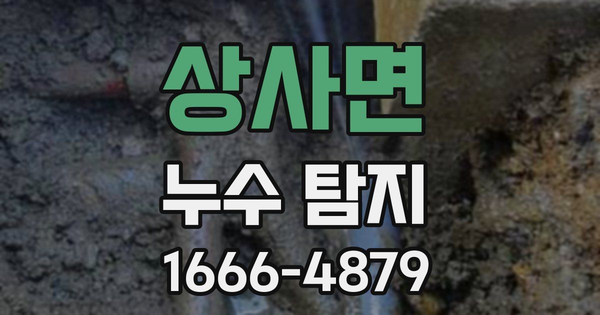 상사면 누수 탐지