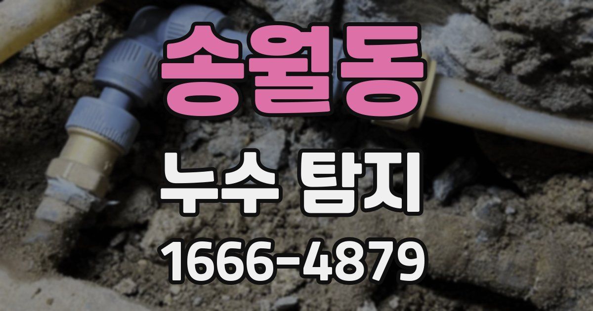 송월동 누수 탐지
