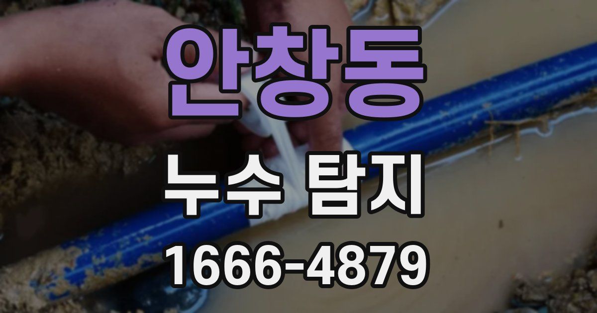 안창동 누수 탐지