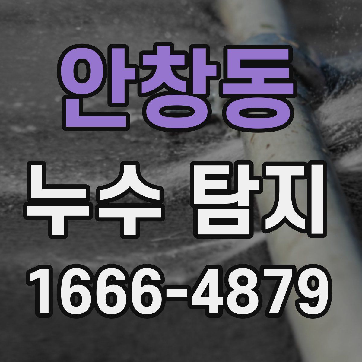 안창동 누수 탐지