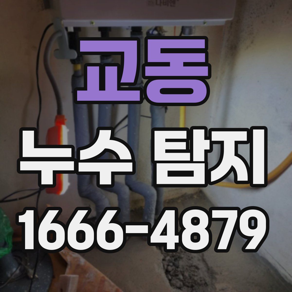 교동 누수 탐지
