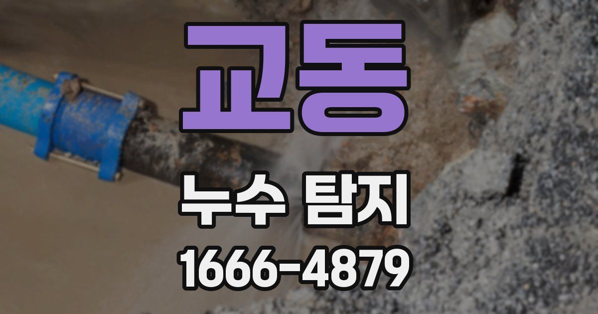 교동 누수 탐지