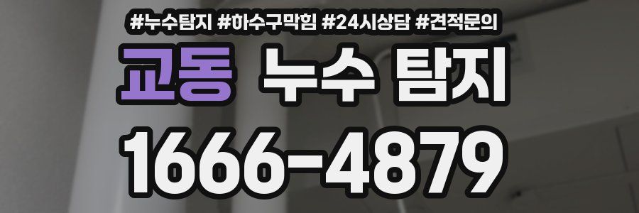 교동 누수 탐지