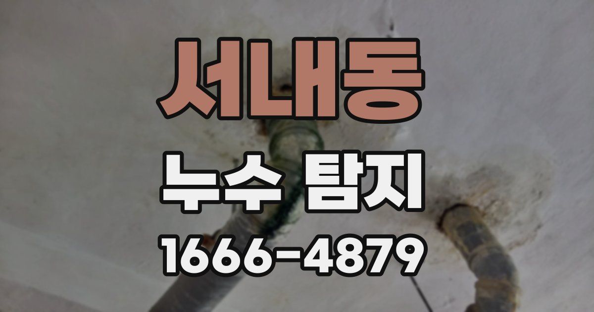 서내동 누수 탐지