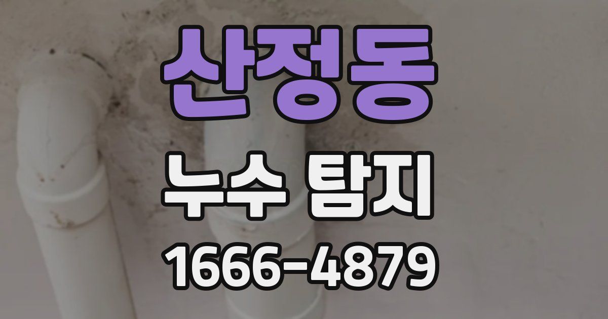 산정동 누수 탐지