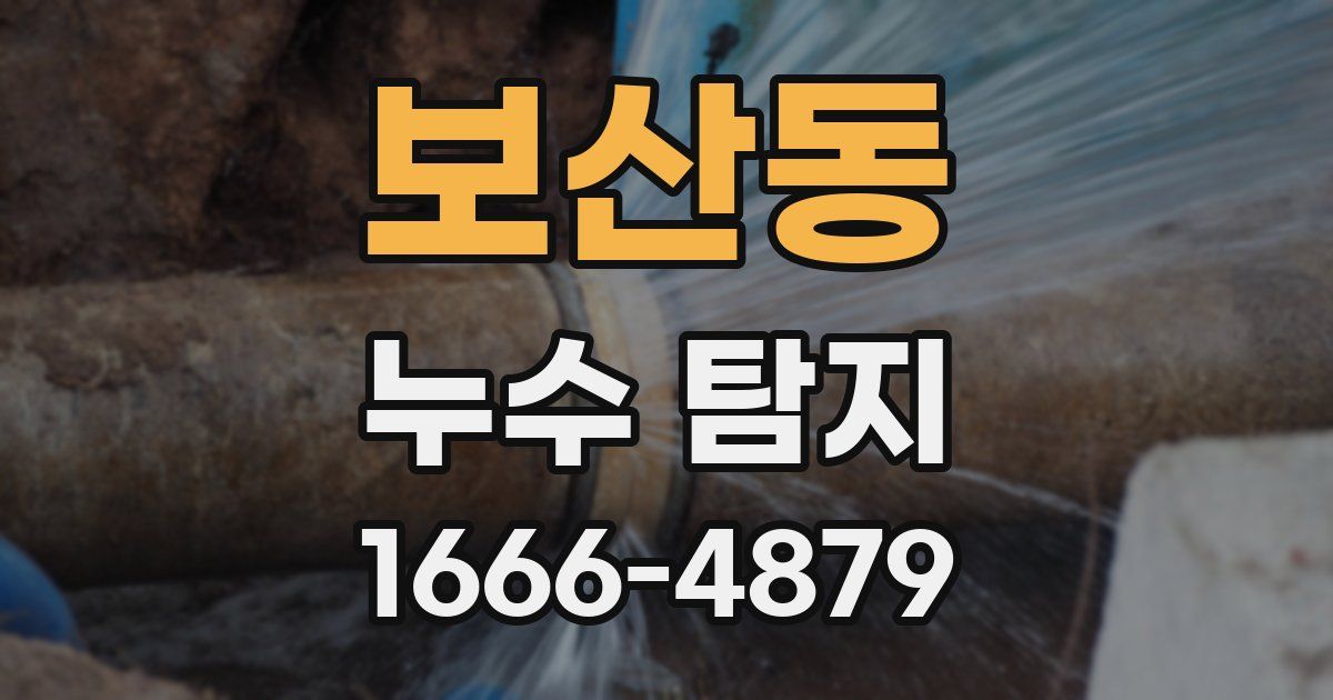 보산동 누수 탐지
