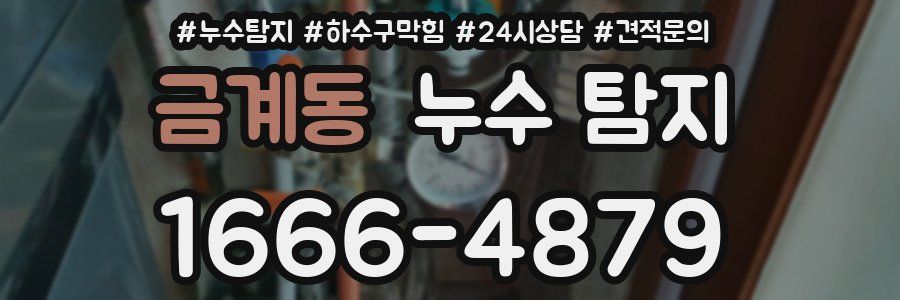 금계동 누수 탐지