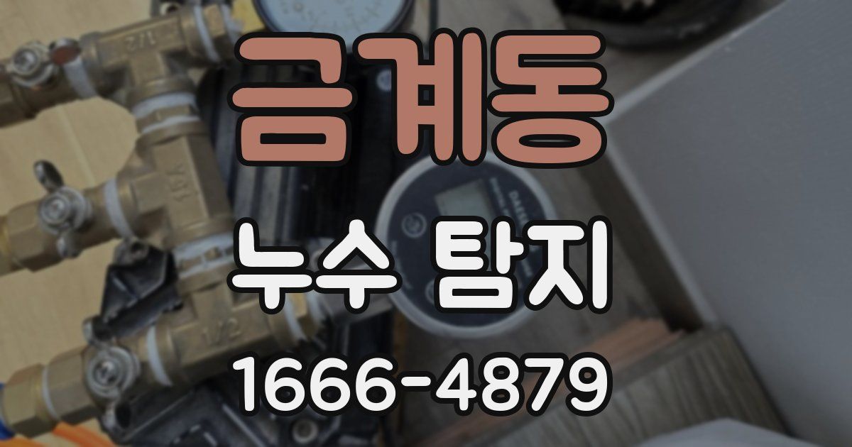 금계동 누수 탐지
