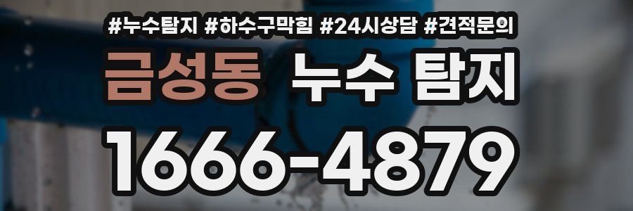 금성동 누수 탐지