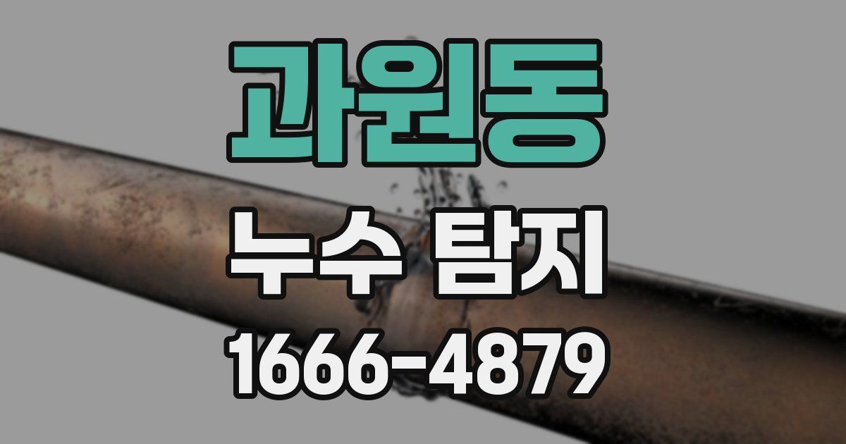 과원동 누수 탐지