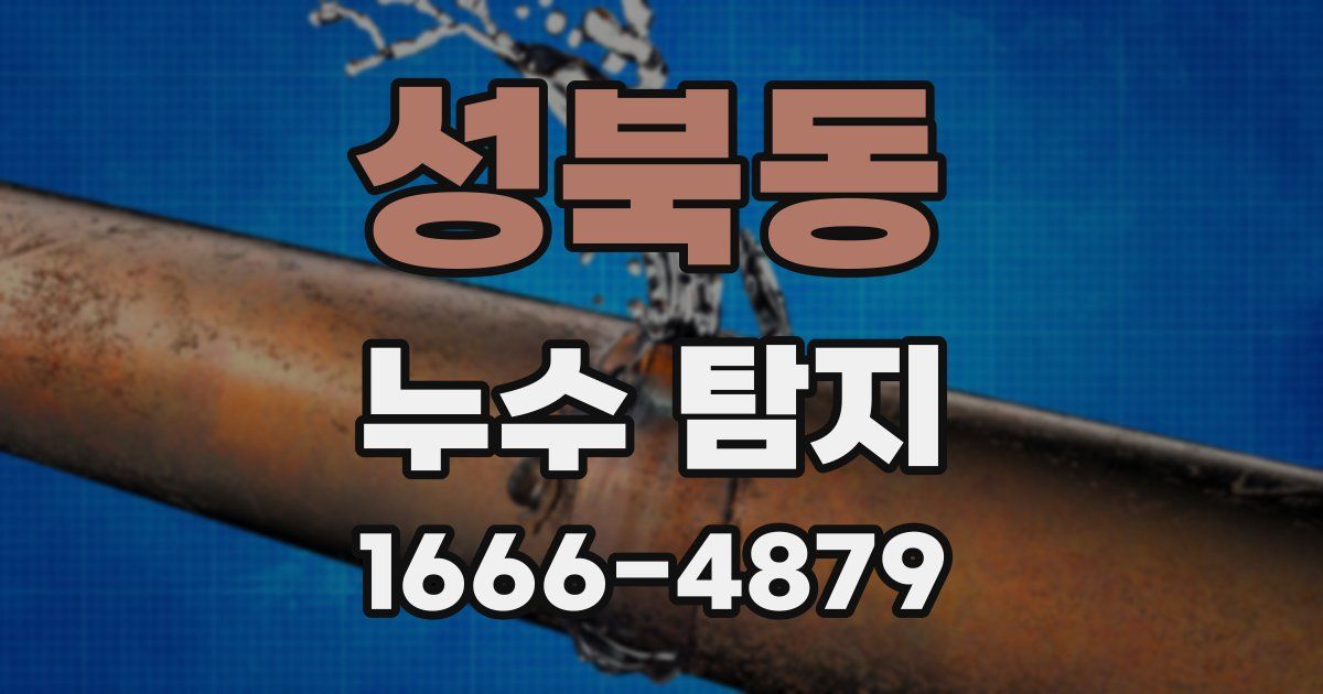 성북동 누수 탐지