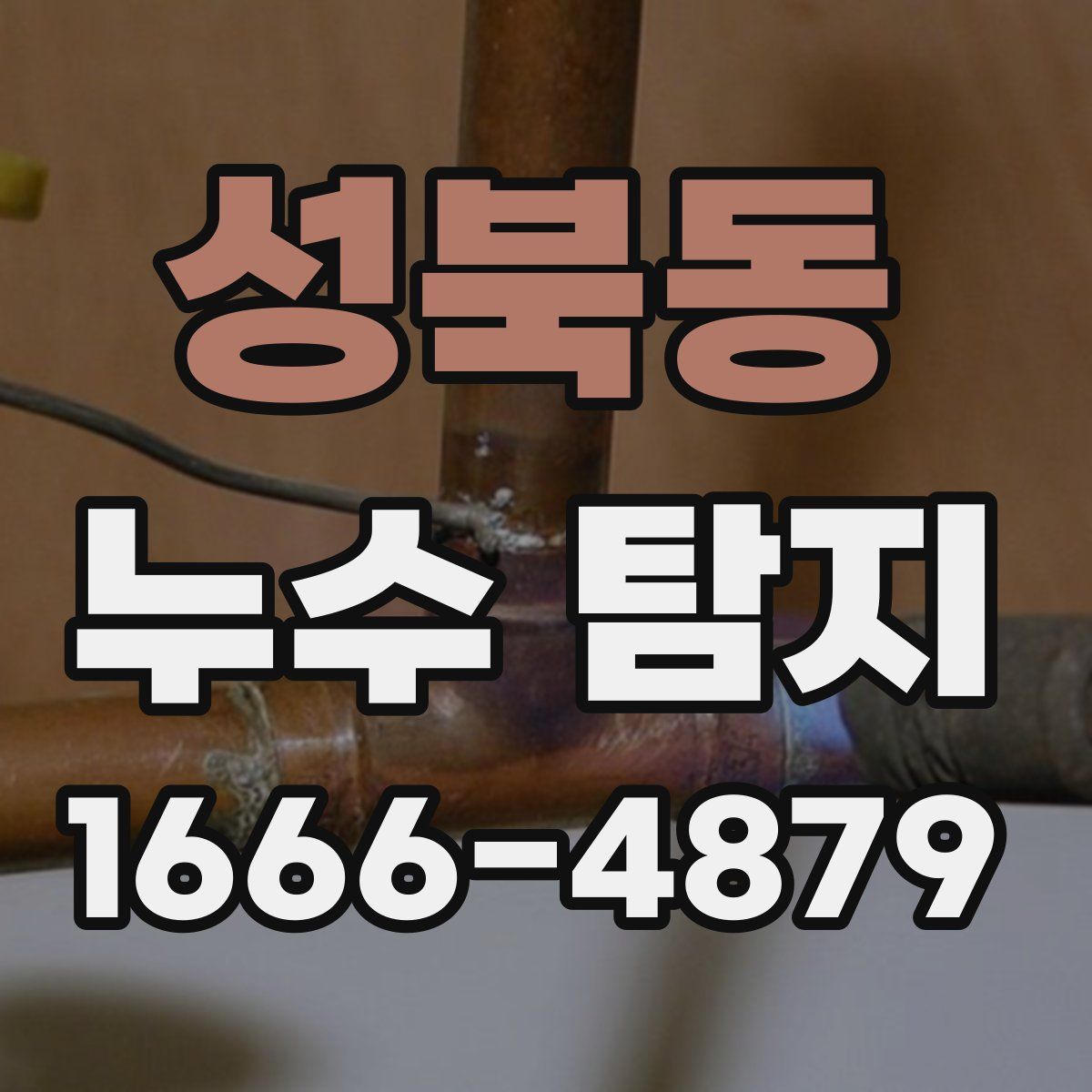 성북동 누수 탐지