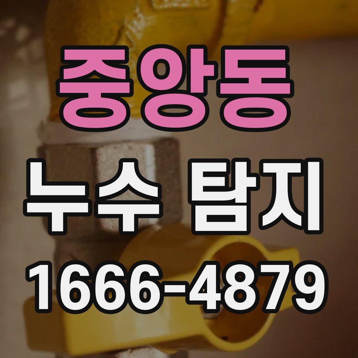 중앙동 누수 탐지