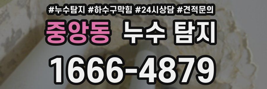 중앙동 누수 탐지