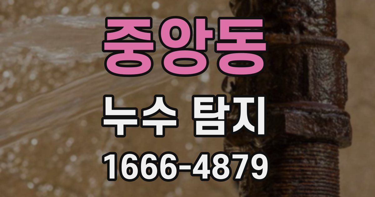 중앙동 누수 탐지