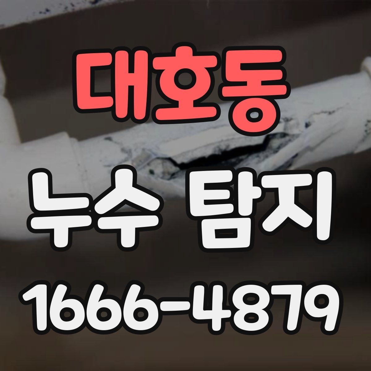 대호동 누수 탐지