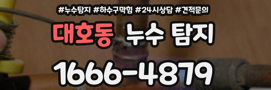 대호동 누수 탐지