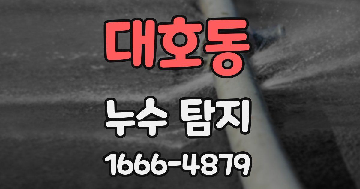 대호동 누수 탐지