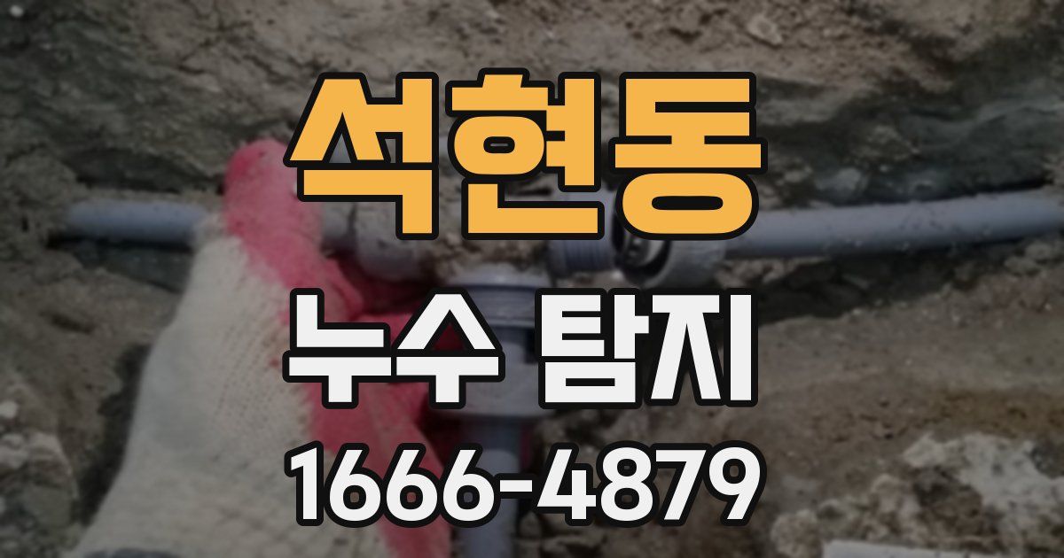 석현동 누수 탐지